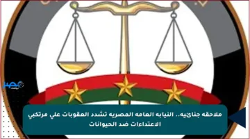 ملاحقة جنائية.. النيابة العامة المصرية تشدد العقوبات على مرتكبي الاعتداءات ضد الحيوانات